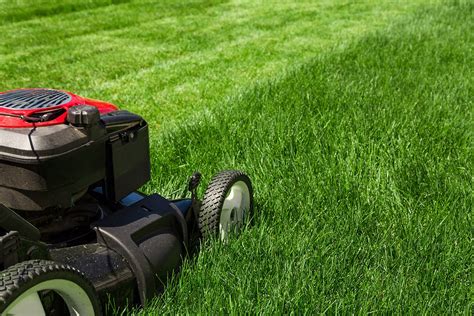 The Spellbinding Secrets of Magic Lawn Care: Tips for an Enchanting Lawn